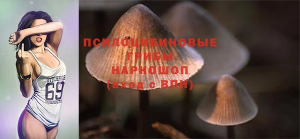 PSILOCYBIN Горнозаводск